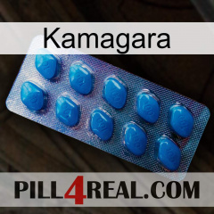 Kamagara viagra1